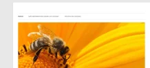 captura.webp