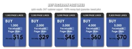 fb-page.webp