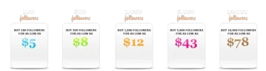 buildmylikes.webp
