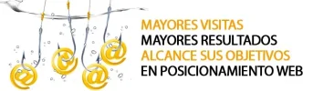 posicionamiento_web_servicios_seo.webp