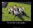 MadagascarPenguins_1.webp