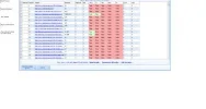 seorimicuaro.webp