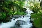 gal.webp