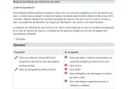 torrent.webp