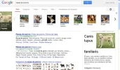busqueda-de-perros.webp busqueda-de-perros.webp