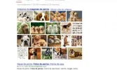 imagenes.webp