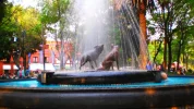 P2220150.webp