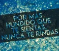 NoTeRindas3.webp