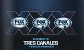 fox 1 2 3.webp fox 1 2 3.webp