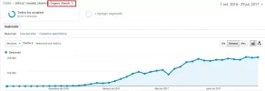 trafico organico.webp