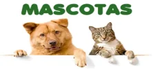 Animales.webp