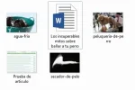 Articulo 2.webp