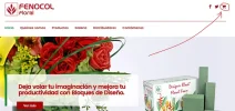Captura.webp