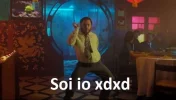 xd.webp