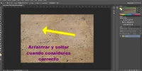 paso006.webp