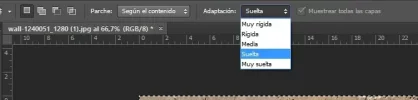 parcheadp2.webp