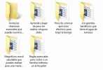 Articulo.webp