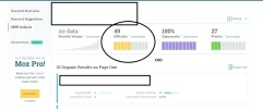 DOMINIO METRICAS MOZ 2.webp