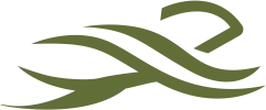 LOGO RANE FORTI-06.webp