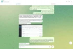 telegram14.webp