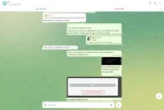 telegram18.webp