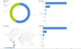 Trafico Web.webp