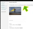 de_google_photos_a_wordpress_007b.webp