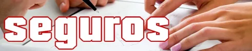 seguros.webp