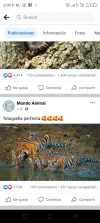 Screenshot_20221003-170936.webp