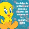 piolin-buenos-dias-frases-1.webp