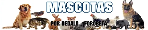 mascotas.webp