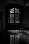 a0e4754a6e5a6da85b63017a6d148d58--black-shadow-the-window.webp