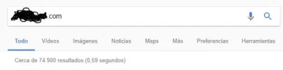 dominio exacto.webp