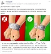 imagen.webp