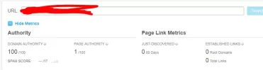 11.webp