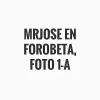 Share (5).webp Share (5).webp