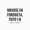 Share (4).webp Share (4).webp