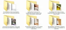 Articulo.webp Articulo.webp