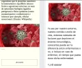 Screenshot_12.webp