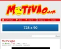 a477536db9a422e413a684a79194d544.webp