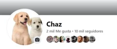 Chaz seguidores.webp