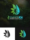 solu ambient_.webp