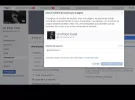 p4.webp