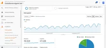 analytics-3meses-diario.webp analytics-3meses-diario.webp