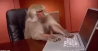 GIF_226386_745003b63980406a9bb3f97e249bb0d8_todos_reaccionamos_igual_cuando_se_nos_bloquea_el...webp