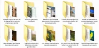 Animales 1.webp