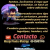 4.webp