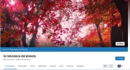 Captura de pantalla 2022-12-03 a la(s) 7.29.14 p. m..webp