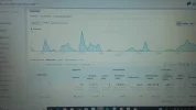 busquedas organicas1.webp