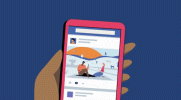 feed 1.gif
